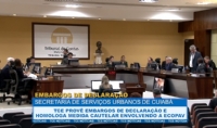 TCE prov embargos de declarao e homologa medida cautelar envolvendo a Ecopav