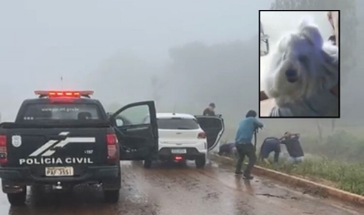 OD - Trio  preso em Chapada dos Guimares aps roubar cachorro em Cuiab