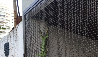 OD - Iguana fica presa em depsito de lixo de Edifcio nobre em Cuiab