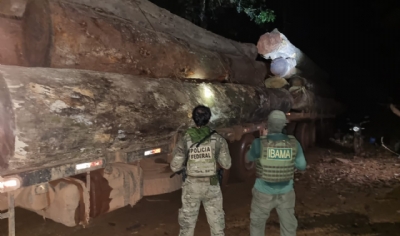 PF apreende 15 caminhes carregados com madeira em operao contra o crime em terra indgena de MT