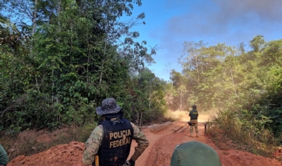 PF apreende 15 caminhes carregados com madeira em operao contra o crime em terra indgena de MT