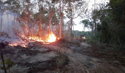 Bombeiros e funcionrios tentam impedir que pousada seja destruda por incndio florestal em MT