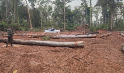 Batalho Ambiental da PM apreende dois tratores e equipamentos para explorao ilegal de madeira em rea de vegetao nativa amaznica