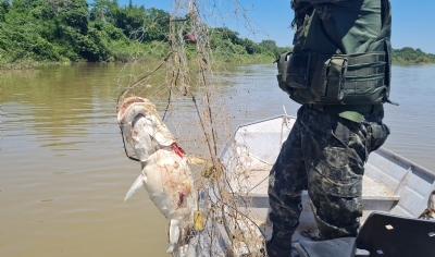 Patrulhamento fluvial do Batalho Ambiental apreende apetrechos proibidos nas regies do Sucuri, Santa Isabel, Novo Terceiro e Passagem da Conceio