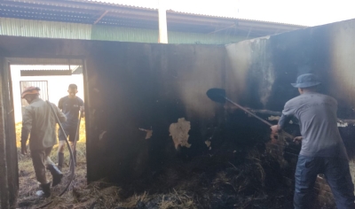 Pavilho da Cavalaria da PM em Cuiab pega fogo e queima 200 fardos de feno