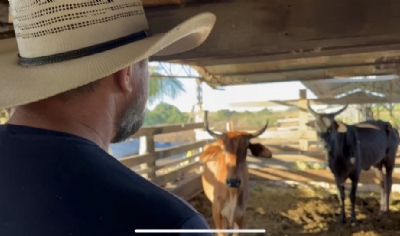 Cattani faz vdeo se desculpando com vacas por comparao com mulheres feministas