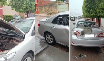 Corolla destrudo