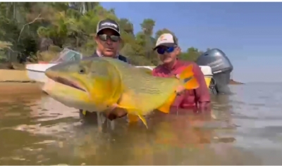 OD - Polmica envolvendo pesca esportiva do Dourado 2