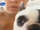 Dona de cachorrinhas agredidas pelo ex-noivo publica novo vdeo