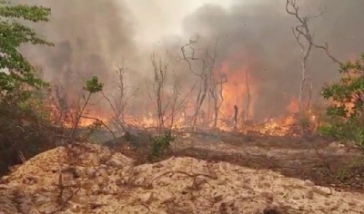 Bombeiros e funcionrios tentam impedir que pousada seja destruda por incndio florestal em MT