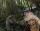 Turista  atacada ao tentar fazer selfie com macaco na Indonsia