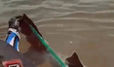 OD - Cirurgio pesca piraba gigante no Rio Juruena, regio norte de Mato Grosso 2