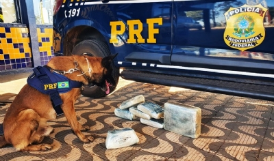 OD - Co da Polcia Rodoviria Federal fareja drogas em pneus de caminho e motorista  detido em flagrante com 193 tabletes de pasta base de cocna